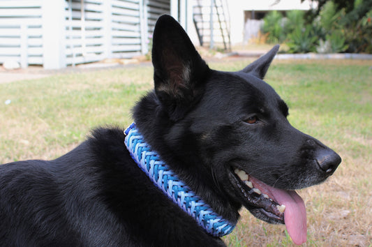 TIDAL FLOW BRAIDED COLLAR