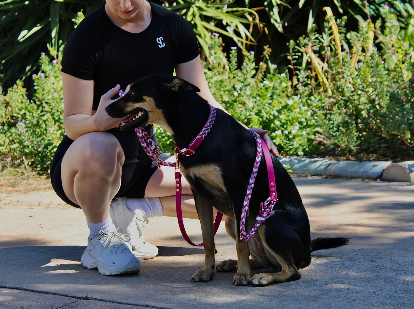 HANDS FREE LEASH - 1/2 BRAIDED, 1/2 BIOTHANE