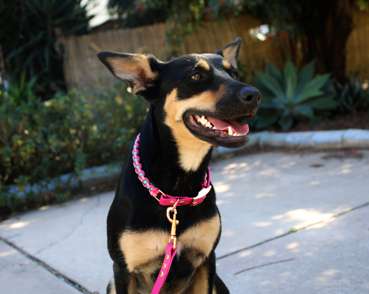 AMITY ADJUSTABLE BRAIDED COLLAR