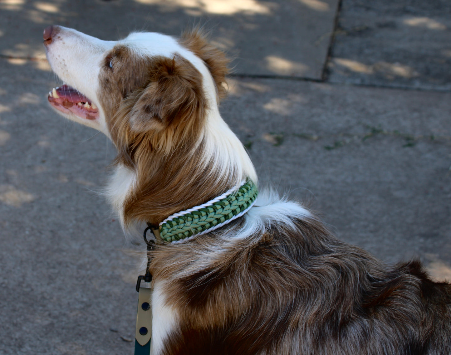 AMANI BRAIDED COLLAR