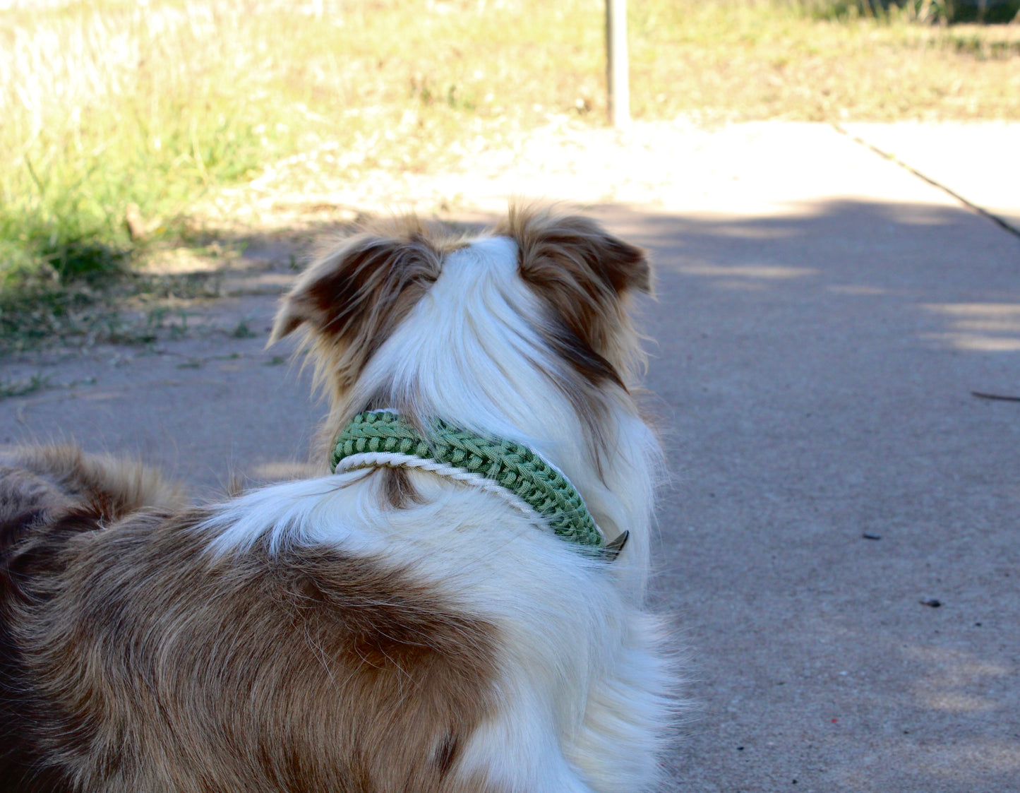 AMANI BRAIDED COLLAR