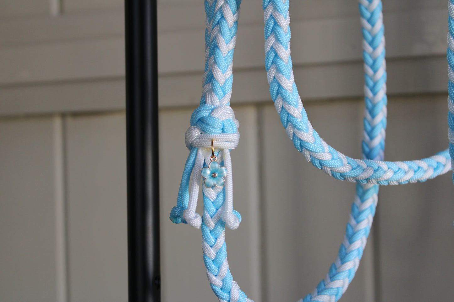 ARLO BRAIDED LEASH