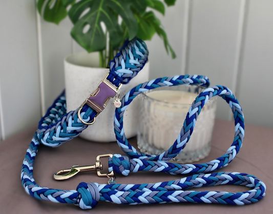 ARLO BRAIDED LEASH